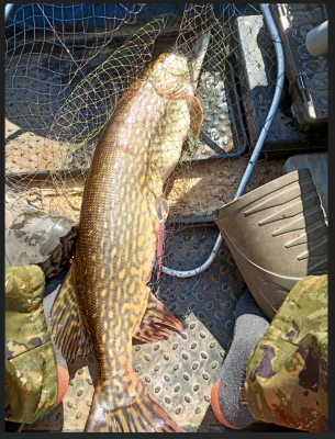 Снимок экрана 2024-06-11 181645.png