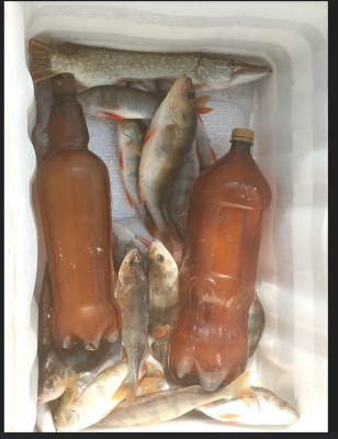 Снимок экрана 2024-08-29 134358.png