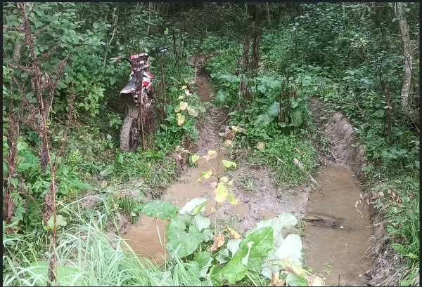 Снимок экрана 2024-08-16 103716.png