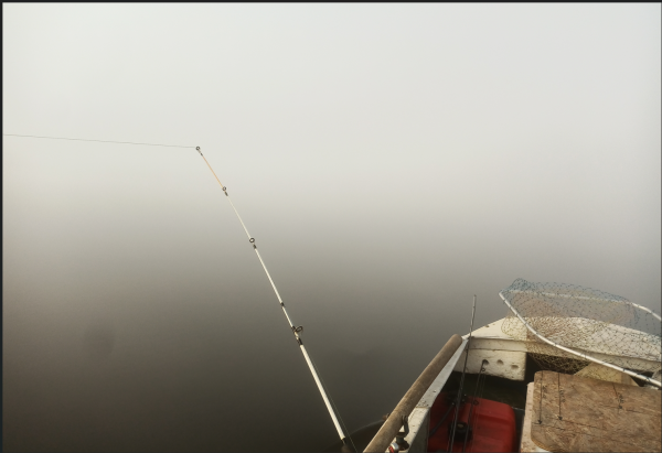 Снимок экрана 2024-08-29 134310.png