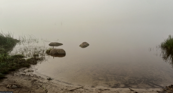 Снимок экрана 2024-08-29 133934.png