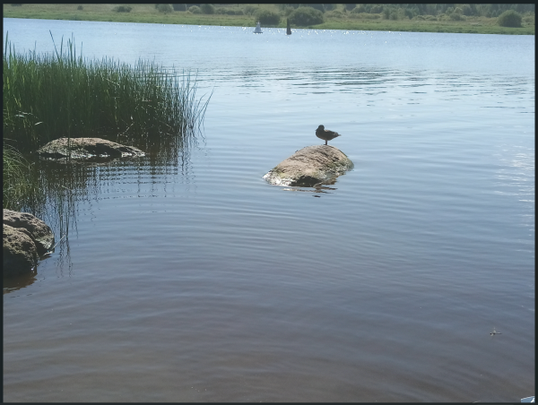 Снимок экрана 2024-08-14 123119.png