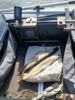 WhatsApp Image 2024-08-20 at 14.05.17.jpeg