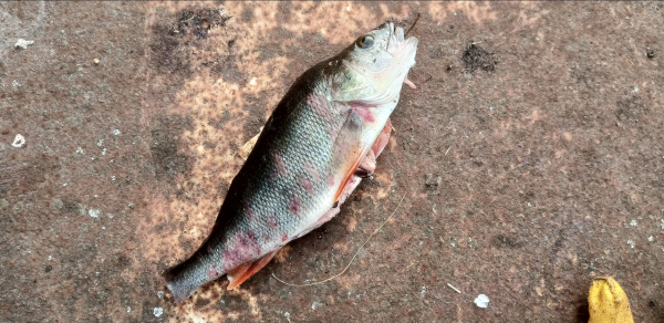 Снимок экрана 2024-09-24 183550.png