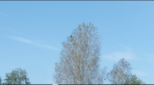 Снимок экрана 2024-09-03 174948.png