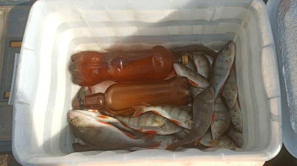 Снимок экрана 2024-09-03 175008.png