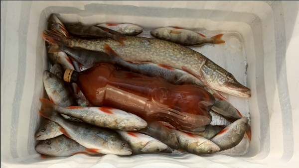 Снимок экрана 2024-09-24 182637.png