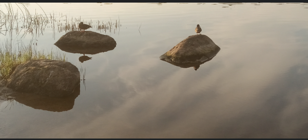 Снимок экрана 2024-09-03 174915.png