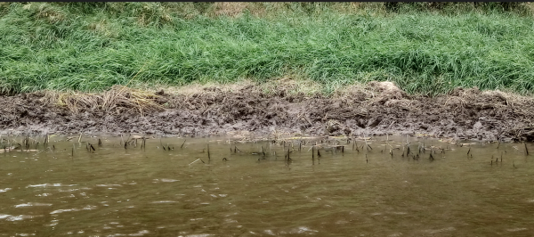 Снимок экрана 2024-10-08 203729.png