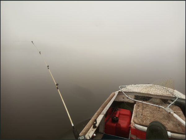 Снимок экрана 2024-10-25 214704.png