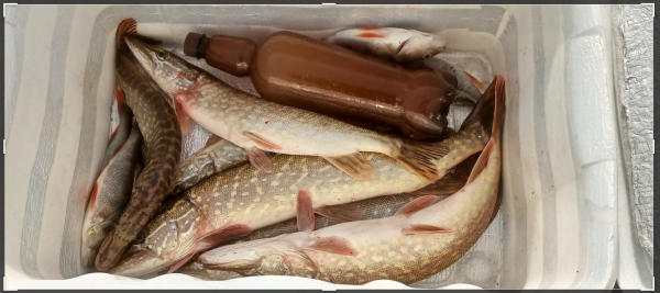 Снимок экрана 2024-10-02 103356.png