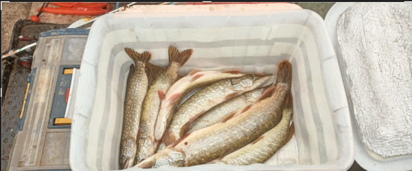 Снимок экрана 2024-10-08 203933.png