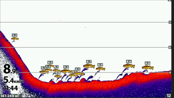 Снимок экрана 2024-10-08 204426.png