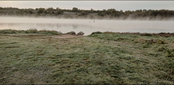 Снимок экрана 2024-10-02 103424.png