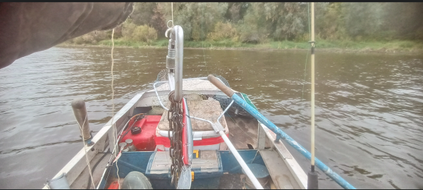 Снимок экрана 2024-10-08 203709.png