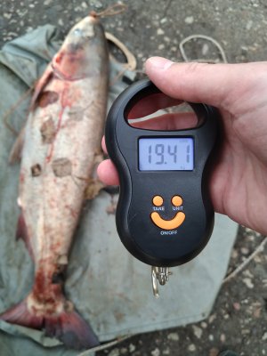 IMG_20240331_153242 (1).jpg