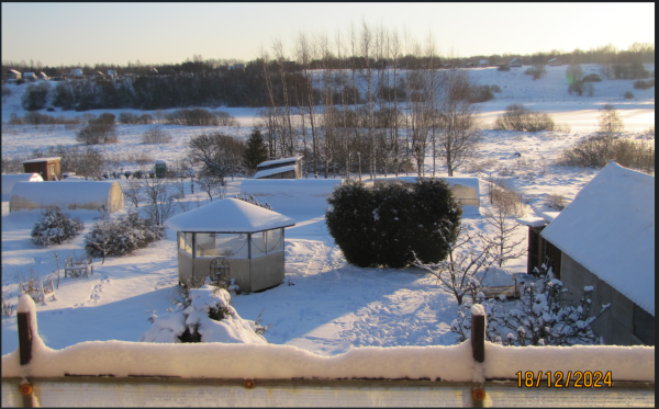 Снимок экрана 2024-12-27 122057.png