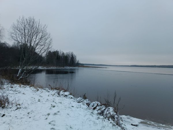 photo_2024-12-08_20-25-01 (3).jpg