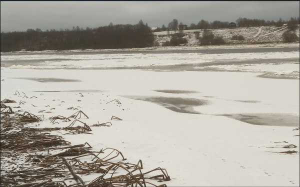 Снимок экрана 2024-12-10 230006.png