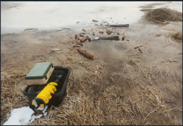 Снимок экрана 2025-01-19 142955.png