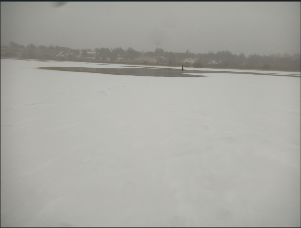 Снимок экрана 2025-01-22 175835.png