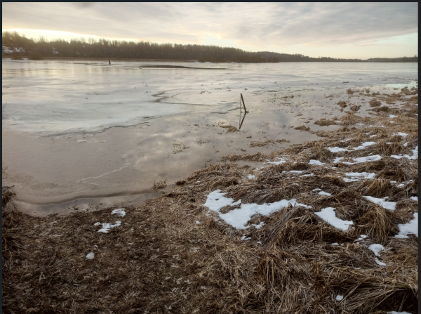 Снимок экрана 2025-01-19 142802.png