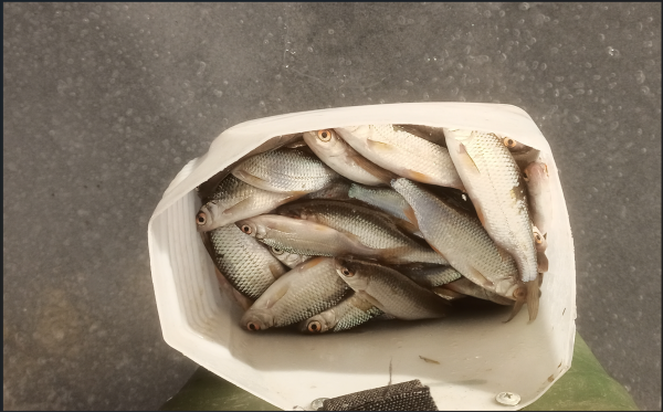 Снимок экрана 2025-01-20 182437.png