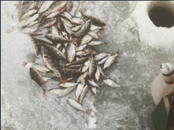 Снимок экрана 2025-01-22 175757.png