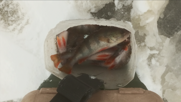 Снимок экрана 2025-01-07 151444.png