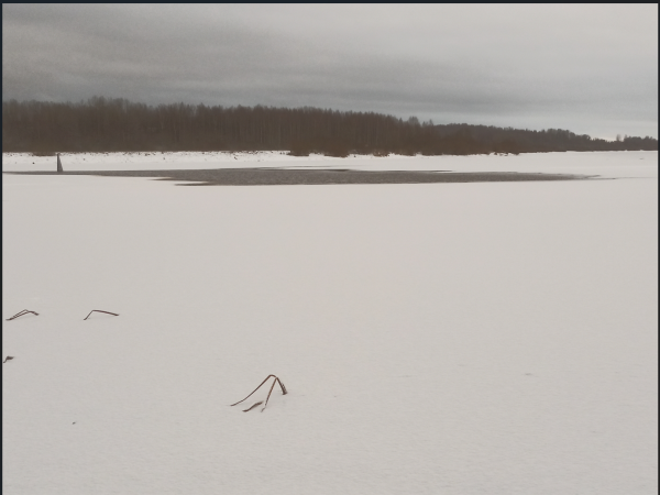 Снимок экрана 2025-01-03 161758.png