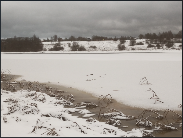 Снимок экрана 2025-01-03 161824.png