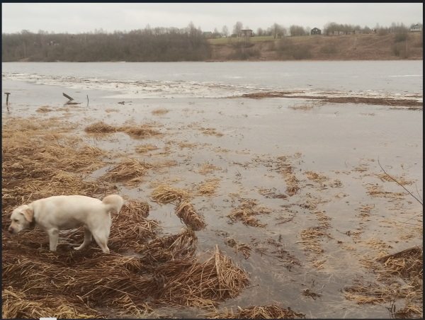 Снимок экрана 2025-01-30 131251.png