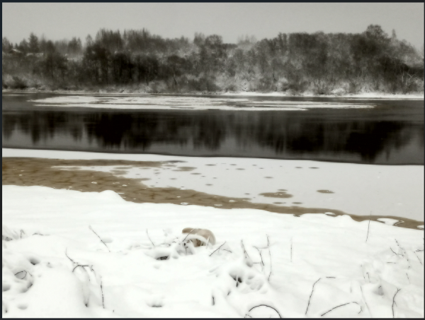 Снимок экрана 2025-02-03 203749.png