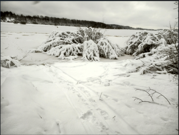 Снимок экрана 2025-02-07 113926.png