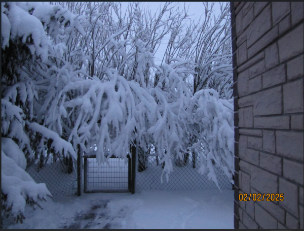 Снимок экрана 2025-02-02 172610.png