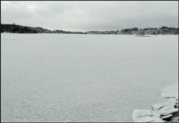 Снимок экрана 2025-02-07 113807.png