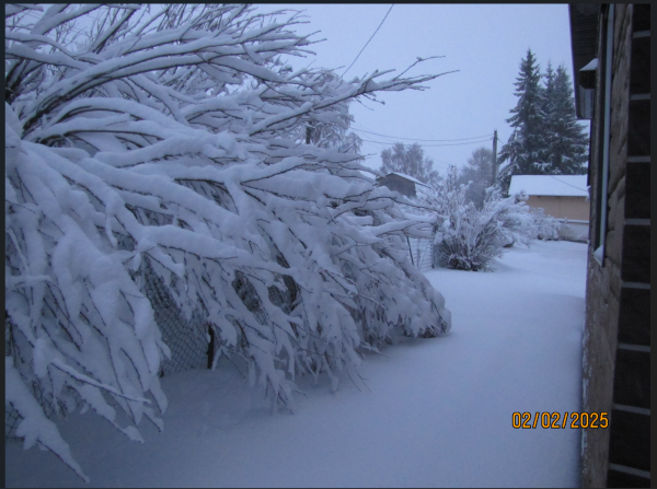 Снимок экрана 2025-02-02 172627.png