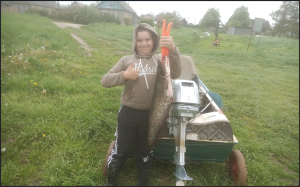 Снимок экрана 2025-05-29 133735.png