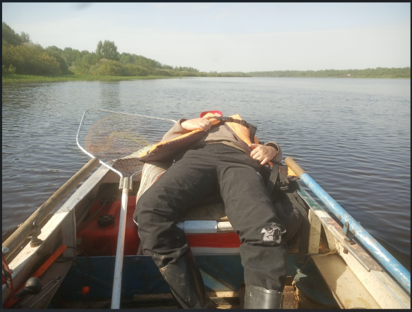 Снимок экрана 2025-05-29 133647.png