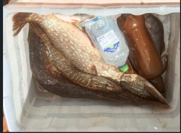 Снимок экрана 2025-06-27 154455.png