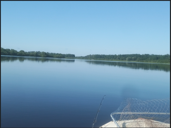 Снимок экрана 2025-06-27 154516.png