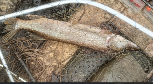 Снимок экрана 2025-07-15 163729.png