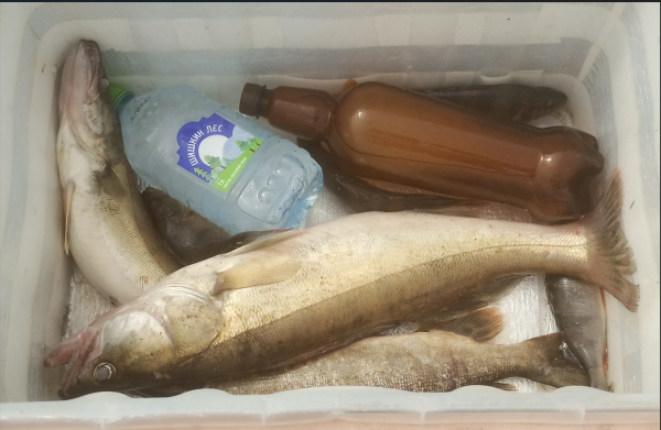 Снимок экрана 2025-07-09 140003.png