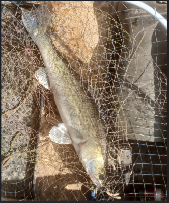 Снимок экрана 2025-07-09 135939.png