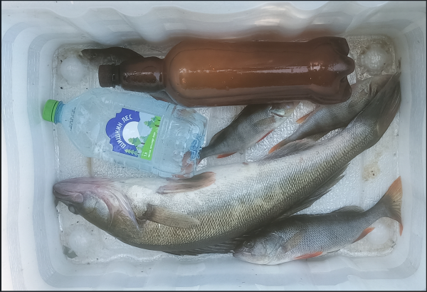 Снимок экрана 2025-07-24 130054.png