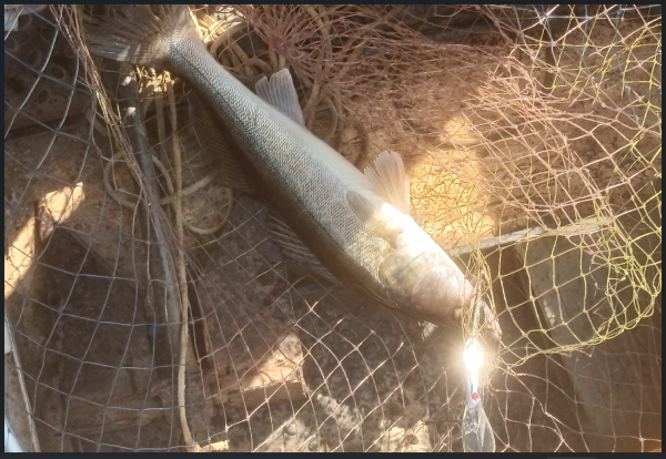 Снимок экрана 2025-07-17 151156.png