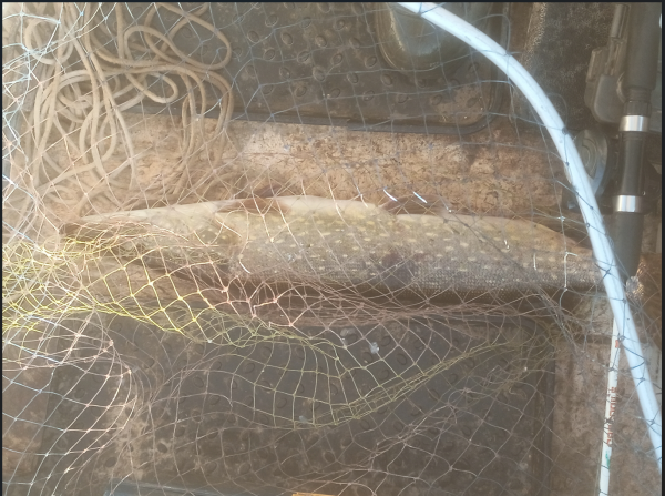 Снимок экрана 2025-07-17 151035.png