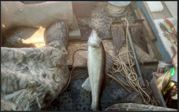 Снимок экрана 2025-07-17 151138.png