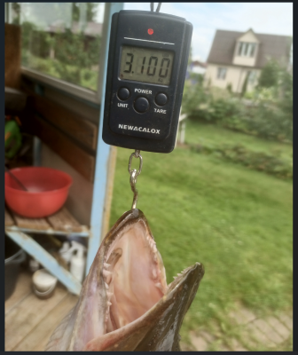 Снимок экрана 2025-07-15 163819.png