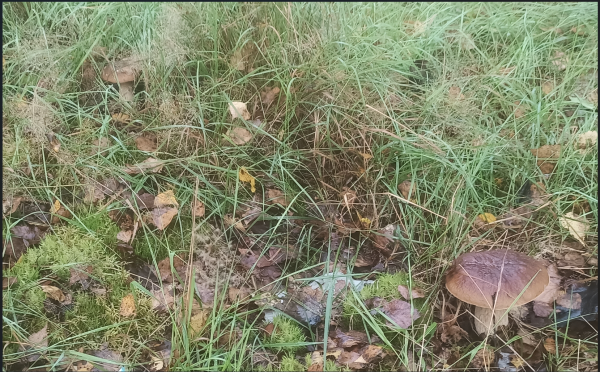 Снимок экрана 2025-08-27 102557.png